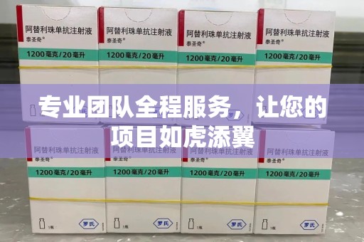 咸阳专业团队全程服务，让您的项目如虎添翼
