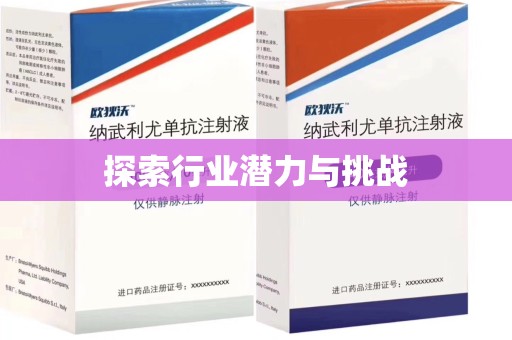 咸阳探索行业潜力与挑战