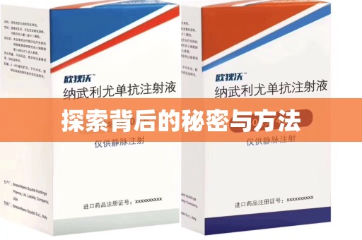 咸阳探索背后的秘密与方法