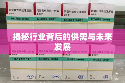 咸阳揭秘行业背后的供需与未来发展