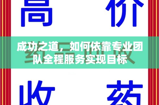 咸阳成功之道，如何依靠专业团队全程服务实现目标
