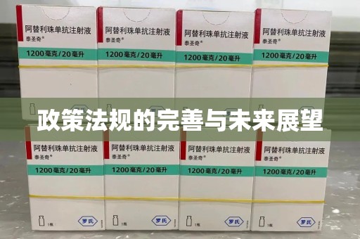 咸阳政策法规的完善与未来展望