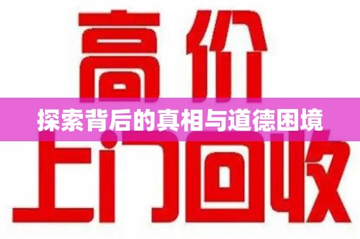 咸阳探索背后的真相与道德困境