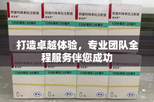 咸阳打造卓越体验，专业团队全程服务伴您成功