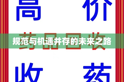 咸阳规范与机遇并存的未来之路