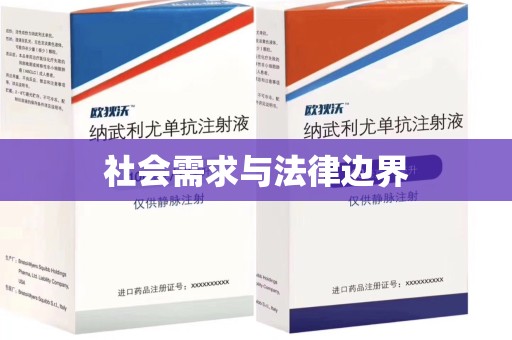 咸阳社会需求与法律边界