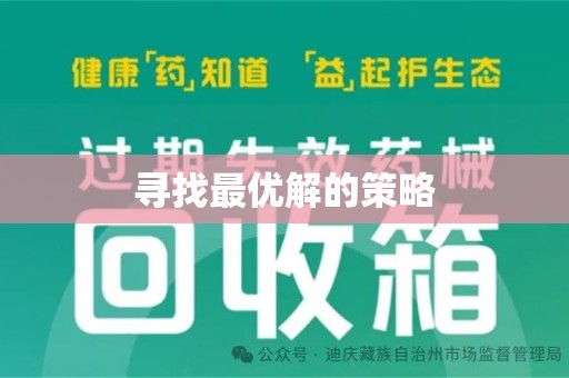 咸阳寻找最优解的策略