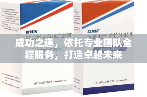咸阳成功之道，依托专业团队全程服务，打造卓越未来