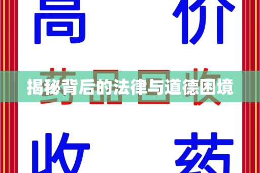 咸阳揭秘背后的法律与道德困境